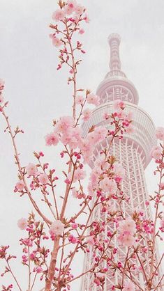 pink flowers are blooming in front of the eiffel tower