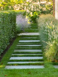 a garden with green grass and white stepping stones