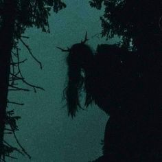 the silhouette of trees against a dark green sky at night with only one light on