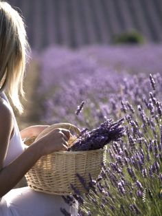 a woman sitting in a lavender field holding a wicker basket and looking at the flowers