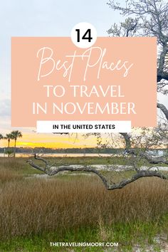 a tree with the words best places to travel in november on it, and an image of