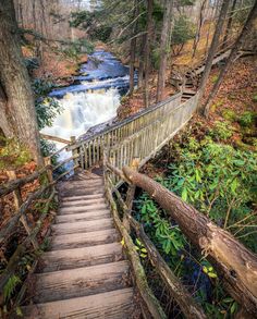 a wooden staircase leading to a waterfall in the woods with trees and foliage surrounding it