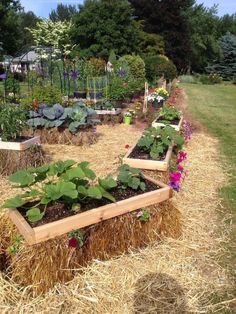 an outdoor garden with straw bales and flowers