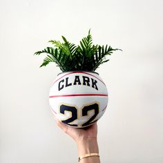 a person holding a basketball with a plant in it's center, against a white wall