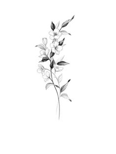 a black and white drawing of some flowers