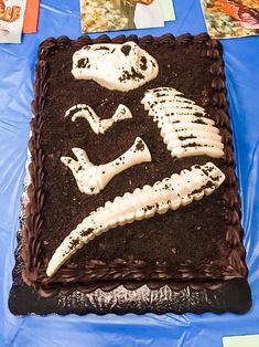 This easy DIY dinosaur cake is perfect for the dino lovin’ kid in your life Dinosaur Fossil Birthday Cake, Dinosaur Fossil Party, Dinosaur Fossil Cake, Diy Dinosaur Cake, Fossil Cake, Dinosaur Cakes For Boys, Paleontologist Party, Fossil Party, Dino Cakes