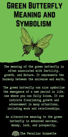 the green butterfly meaning and symbol is shown in this graphic art work, with an image of