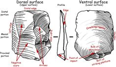 an image of different types of rocks and how they are labeled in the diagram below