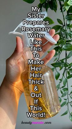 Nobody ever told me how to make rosemary water for hair growth THE RIGHT WAY Diy Hair Growth Spray, Rosemary For Hair, Rosemary Hair Growth, Rosemary Water, Healthy Natural Hair Growth, Rosemary Oil For Hair, Hair Growth Spray, Hair Growing Tips, Hair Remedies For Growth