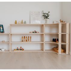 the shelves are filled with toys and books