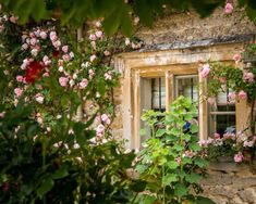 an old stone house with pink roses growing on the windowsills and in front of it