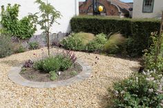 a garden area with gravel, rocks and plants