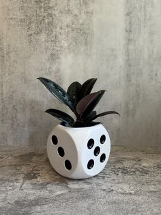 a white dice shaped planter sitting on top of a marble counter next to a wall