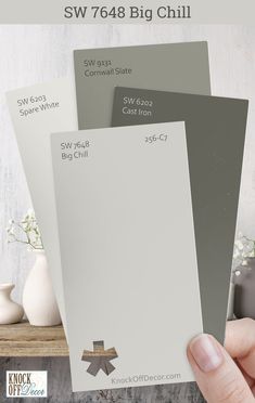 three different shades of gray paint with the words sw 768 big chill