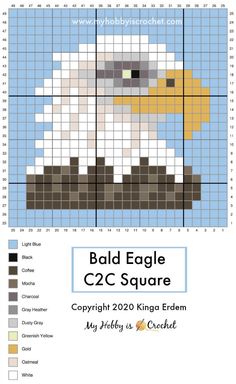 the bald eagle cross stitch pattern is shown