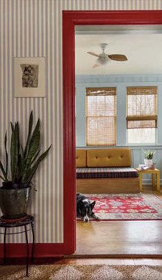 a dog laying on the floor in front of a red door with striped wallpaper