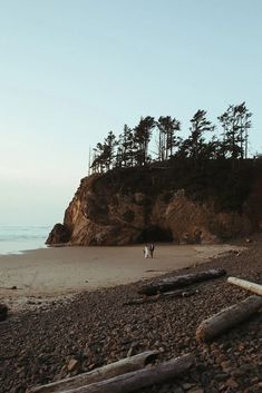 two people are walking on the beach near some rocks and trees, with one person standing in the distance