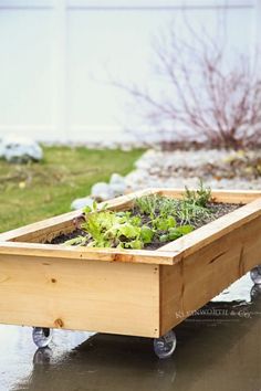 a wooden box filled with plants on top of a wet ground in front of a house