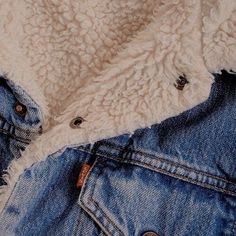 an old pair of denim shorts with holes in the back and white fur on top