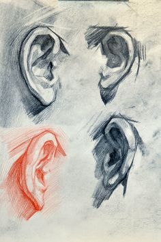 an image of three different ear shapes