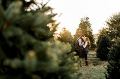 an engaged couple kissing in the middle of a row of christmas trees at their farm