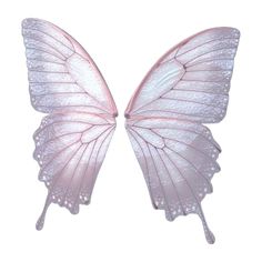 two pink butterflies with white wings are facing each other