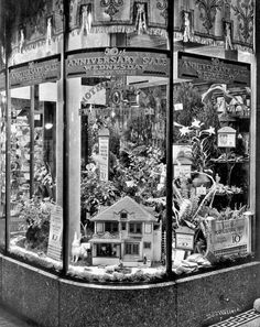 a black and white photo of a store front window with plants in the display case