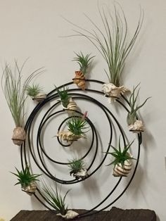 there are many air plants in the center of this metal circle with shells and seashells on it