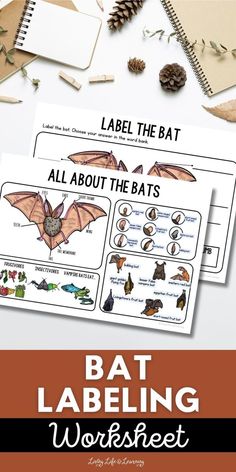 Bat Labeling Worksheet Halloween Fun For Kids, Halloween Ideas For Kids, Bat Facts, Bats For Kids, Cycle For Kids, Bat Craft