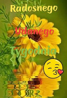 a yellow flower with the words radosnego on it