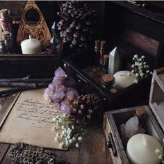 some pine cones and other items on a table