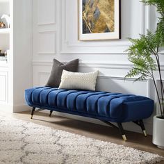 a living room with a blue couch and potted plant