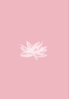 a pink background with a white flower on the top and bottom part of the image