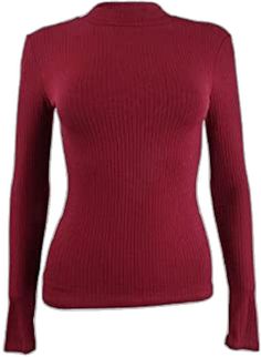 Stretch Ribbed Mock Neck Top, Fitted Burgundy Winter Top, Red Fitted Turtleneck Top, Fitted Ribbed Mock Neck Long Sleeve Top, Ribbed Mock Neck Top With Long Sleeves, Fitted Ribbed Burgundy Top, Ribbed Stretch Mock Neck Top With Long Sleeves, Casual Fitted Red Turtleneck, Red High Neck Top For Winter