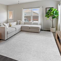 a living room with a large white rug and couches in front of a window