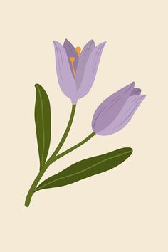 two purple flowers with green leaves on a beige background