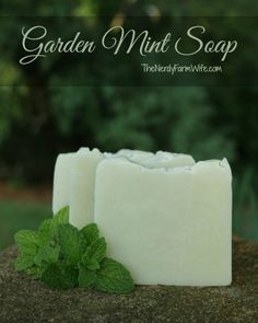 two bars of soap sitting on top of a tree stump with green leaves around it