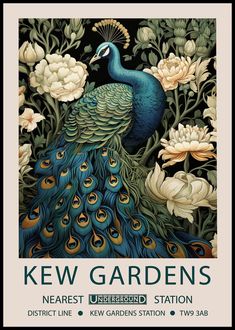 the poster for kew gardens shows a peacock surrounded by flowers