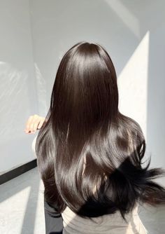 Glossy Hair Aesthetic, Wonyoungism Hair, Silky Hair Aesthetic, Dark Wonyoungism, Long Hair Korean, Straight Silky Hair, Silky Straight Hair, Glass Hair, Long Shiny Hair