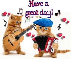 two kittens are playing with an accordion and a guitar in front of the caption