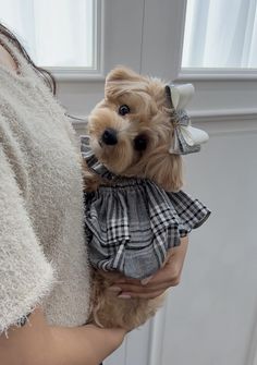 a woman holding a small dog wearing a dress and bow tie on it's head