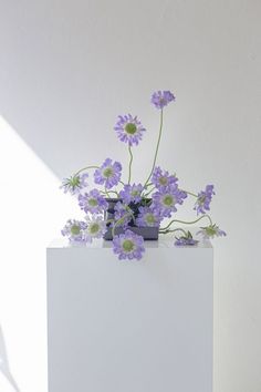 a vase with purple flowers sitting on top of a white box