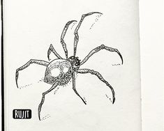 a black and white drawing of a spider on a piece of paper with the words rutu written below it