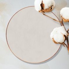 a round mirror with cotton on it next to a plant and some branches in front of it