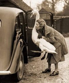 an old black and white photo of a woman with a goose on her back door