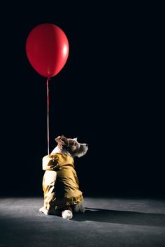 a dog in a yellow raincoat is holding a red balloon with it's tail