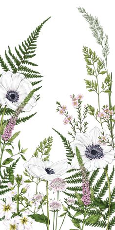 an illustration of flowers and ferns on a white background with space in the center for text