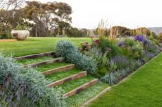 an outdoor garden with steps leading up to the grass