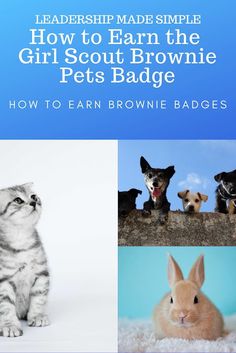 Pet Badge For Brownies, Brownie Girl Scouts Activities, Brownie Pets Badge, Brownie Badge Ideas, Brownie Pet Badge