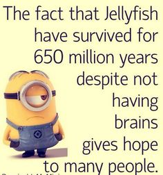 a minion sitting in front of a sign that says the fact that jellyfish have survived